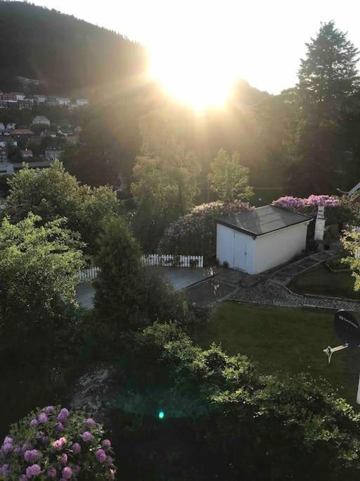 Modern With Free Parking Appartement